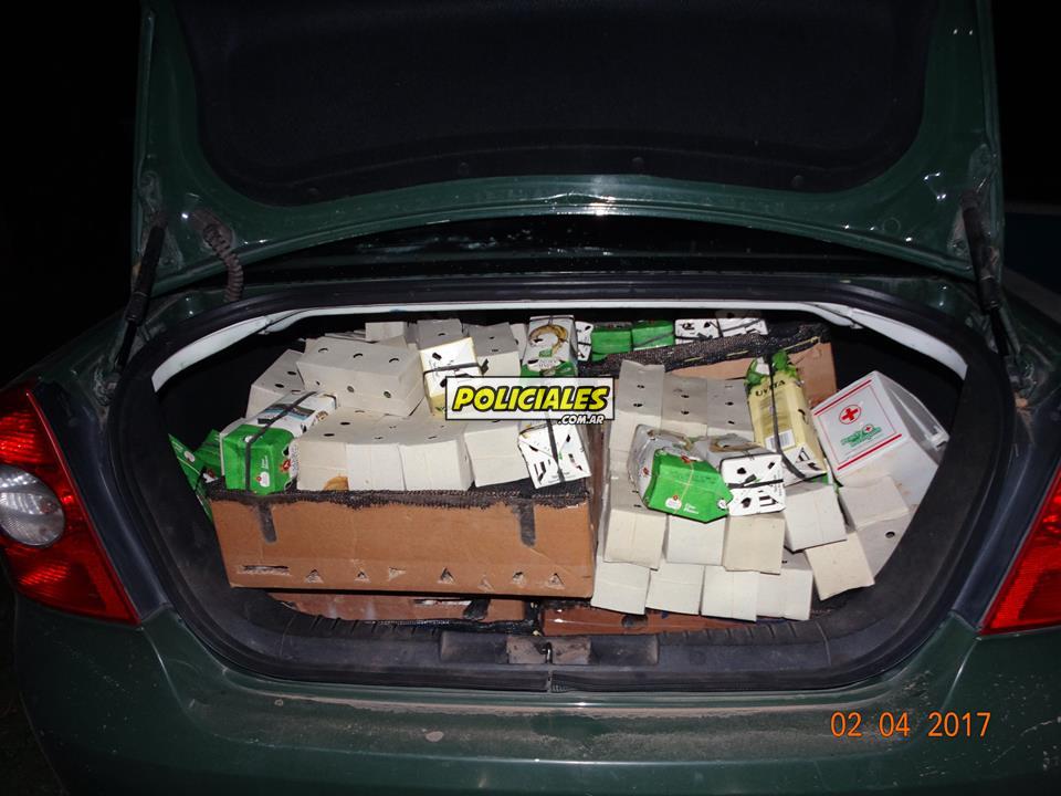 Secuestro-de-aves-en-Recreo-8 Secuestro-de-aves-en-Recreo-8