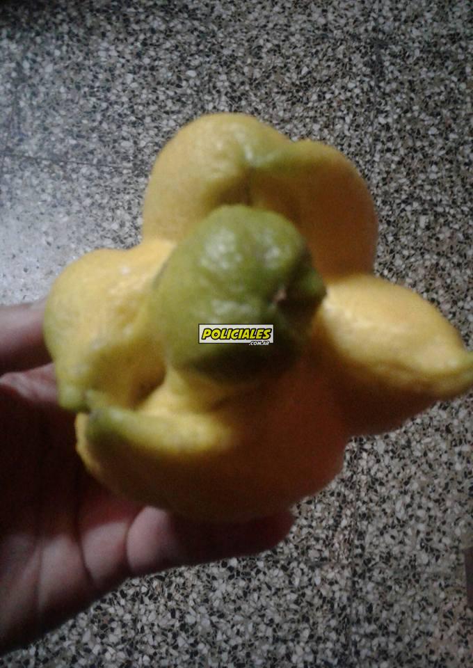 18881892_1315606125161157_1593686637787434308_n 18881892_1315606125161157_1593686637787434308_n