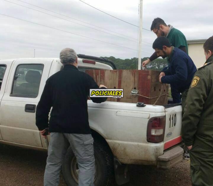 19732291_1576045462440861_8144283673064854919_n 19732291_1576045462440861_8144283673064854919_n