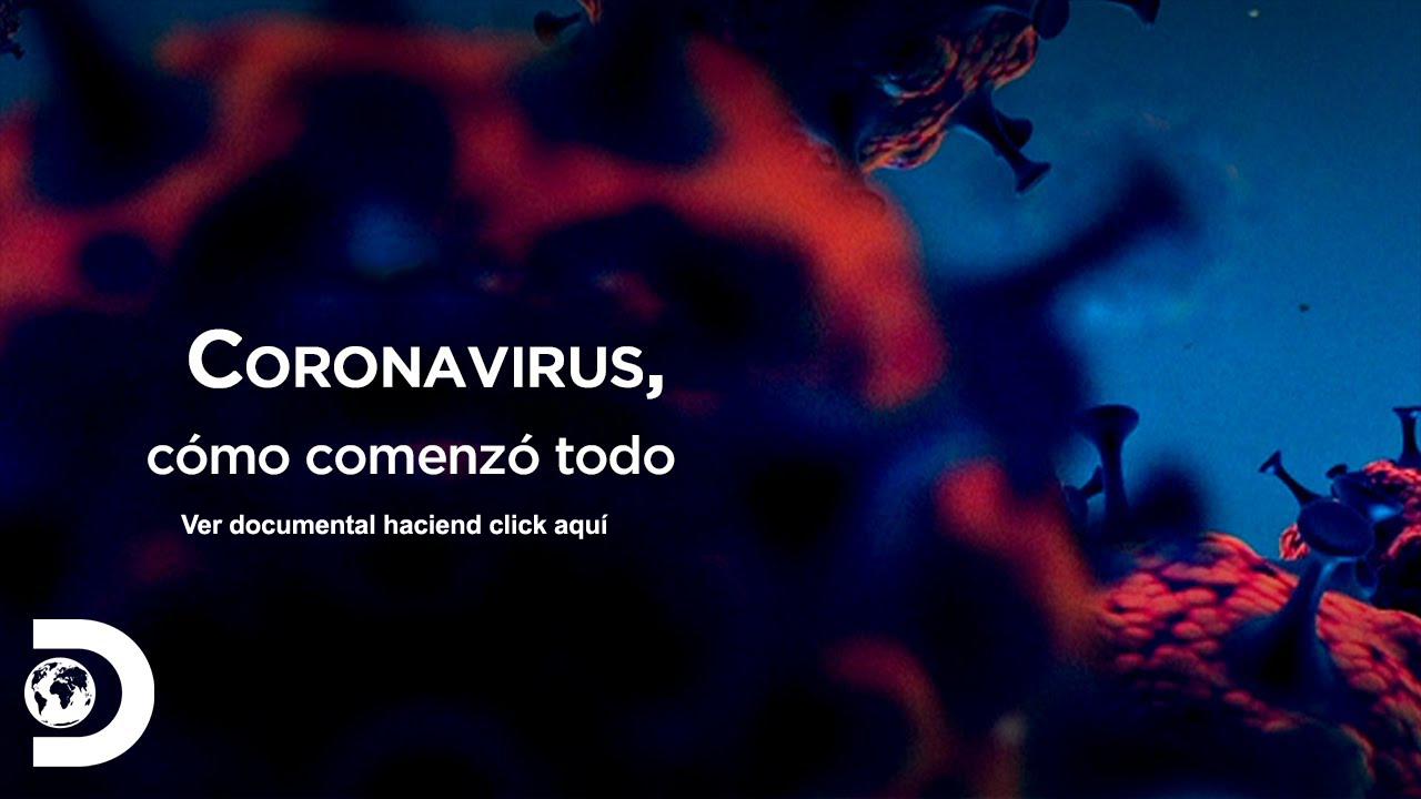 Corona Virus asi comenzó todo