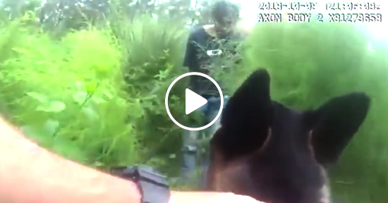 Perro policía en acción