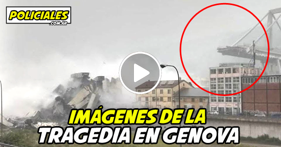 Tragedia en Genova