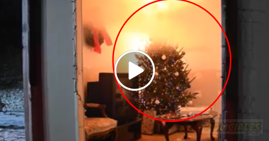 Incendio árbol de navidad