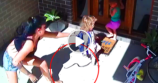 Serpiente venenosa en australia