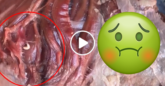 Carne en mal estado con gusanos