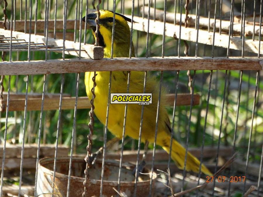 20294427_777326189137553_5100378949521532120_n