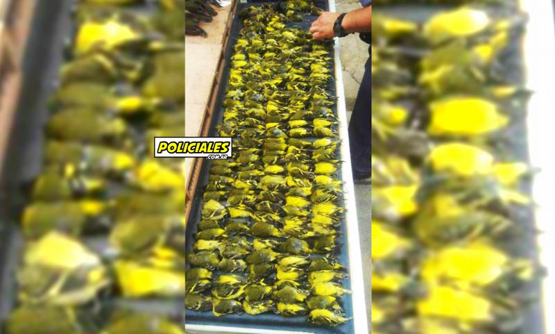 18527486_653013528236607_7888831800842955193_o