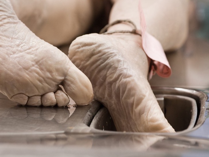 pies-de-muerto-fotos-controvertidas