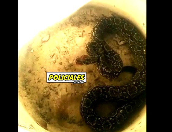 lampalagua