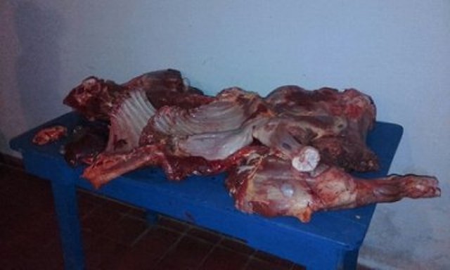 poli_carne_faenada_1_49030_49030