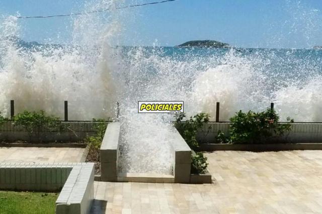 olas brasil